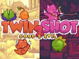 Twin Shot 2 Online Co-op Adventure Game