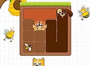 Paws & Pattern Puzzle